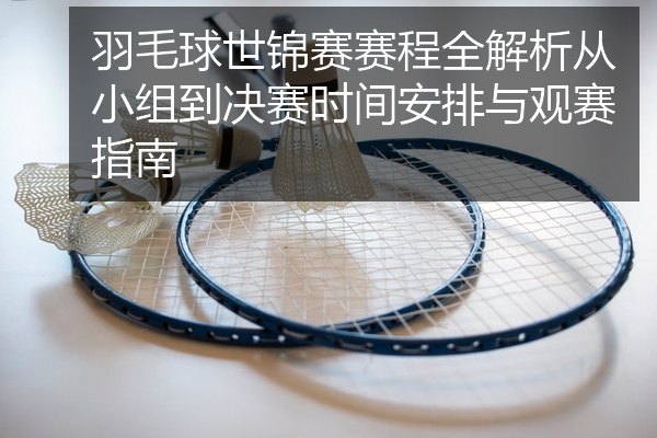 羽毛球世锦赛赛程全解析从小组到决赛时间安排与观赛指南