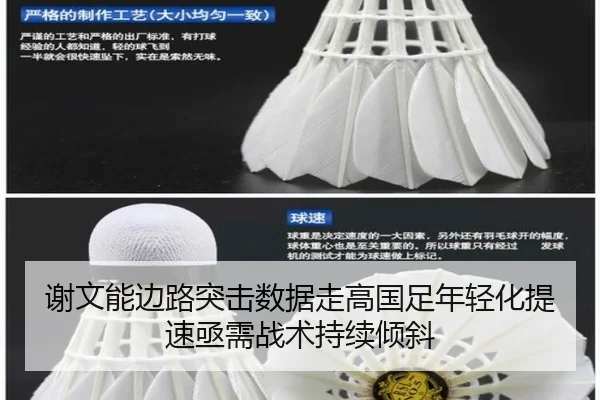 谢文能边路突击数据走高国足年轻化提速亟需战术持续倾斜（KY app）